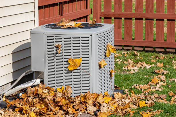 Best Seasonal HVAC Services in Louise, TX